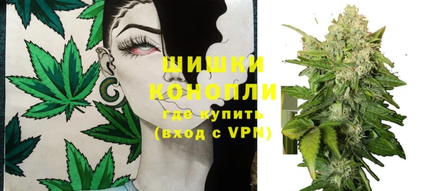 твердый Зеленокумск