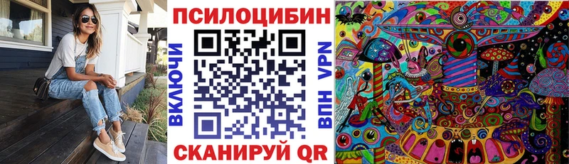 Купить где  Макаров  Псилоцибиновые грибы ЛСД 